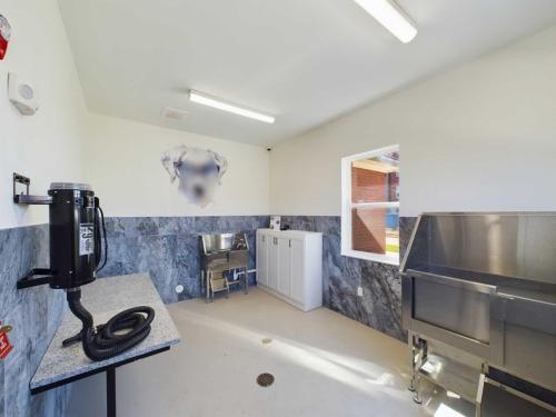 Apartments in for rent Farragut TN Room with grooming equipment, including a counter with a hose attached, a washing station, and a sink. Walls have an animal mural and windows provide natural light. Anchor 934 Apartments in Biddle Farms Town Center